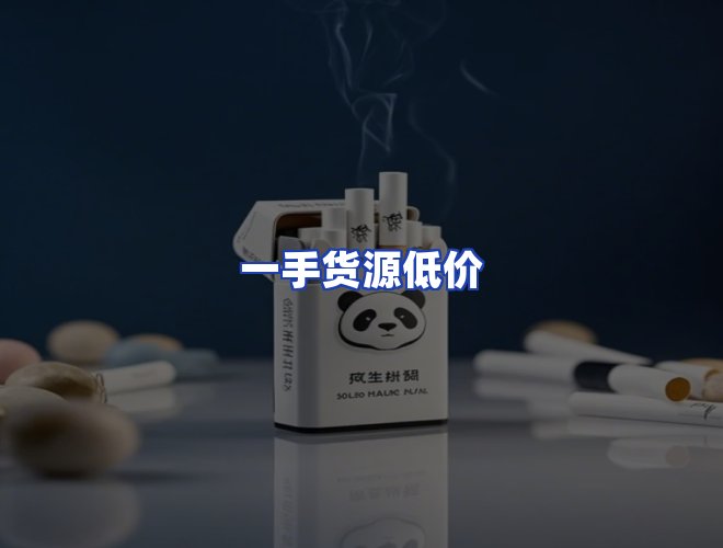 专业团队